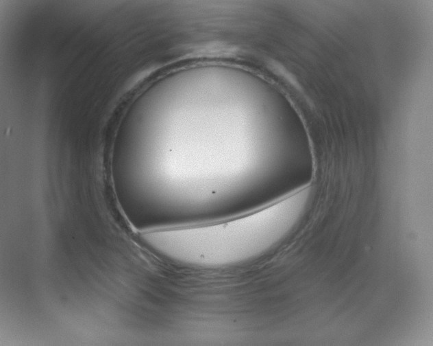 X0000070241315200606020922
