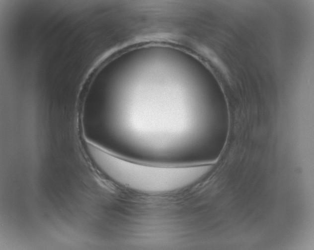 X0000070241316200606020922