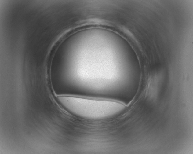 X0000070241318200606020922