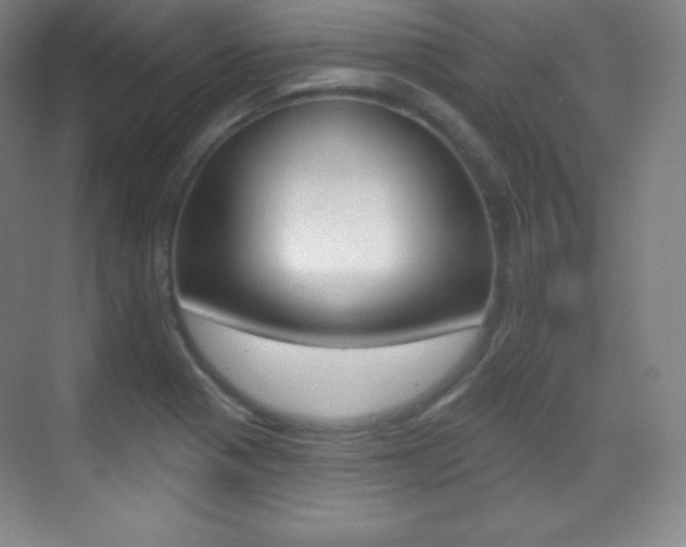 X0000070241321200606020922