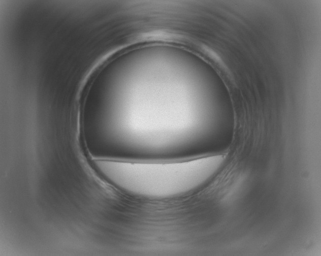 X0000070241323200606020922