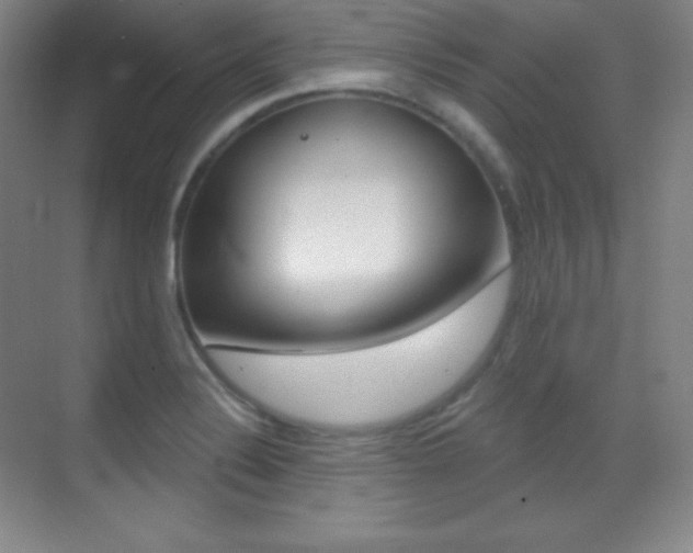 X0000070241324200606020922