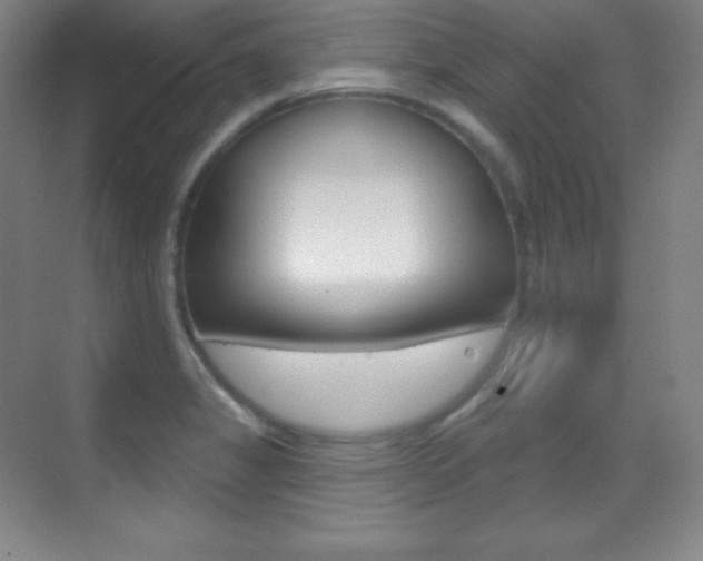X0000070241325200606020922