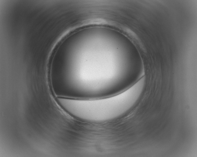 X0000070241326200606020922