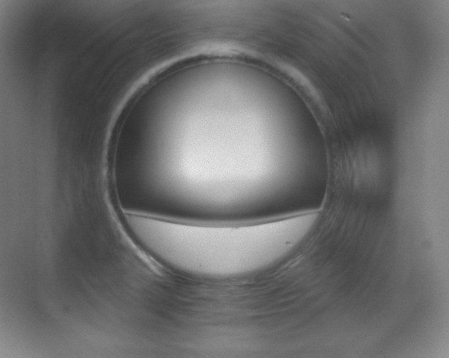 X0000070241327200606020922
