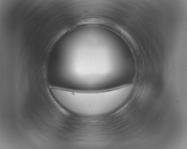 X0000070241329200606020922