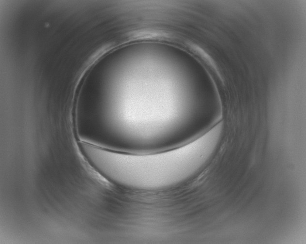 X0000070241330200606020923