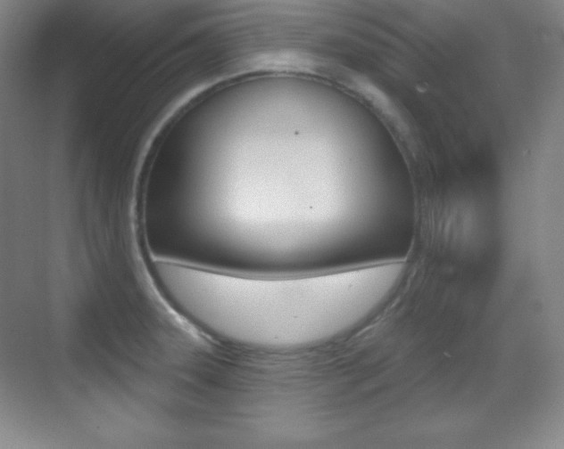 X0000070241331200606020923