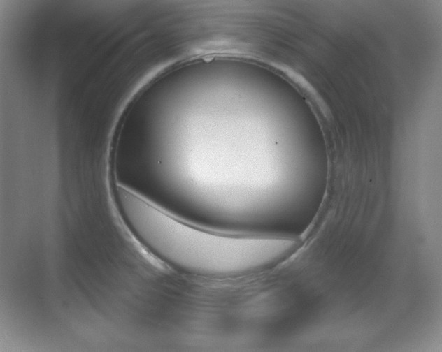 X0000070241333200606020923