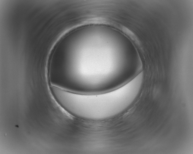 X0000070241334200606020923