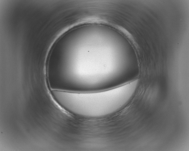 X0000070241335200606020923