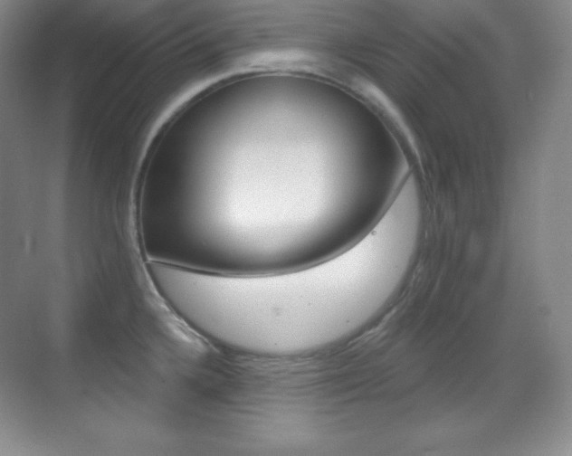 X0000070241336200606020923