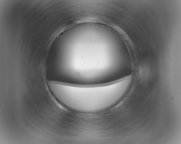 X0000070241337200606020923