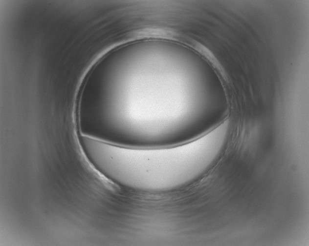 X0000070241339200606020923
