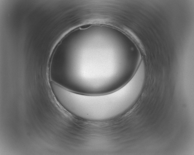 X0000070241340200606020923