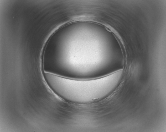 X0000070241341200606020923