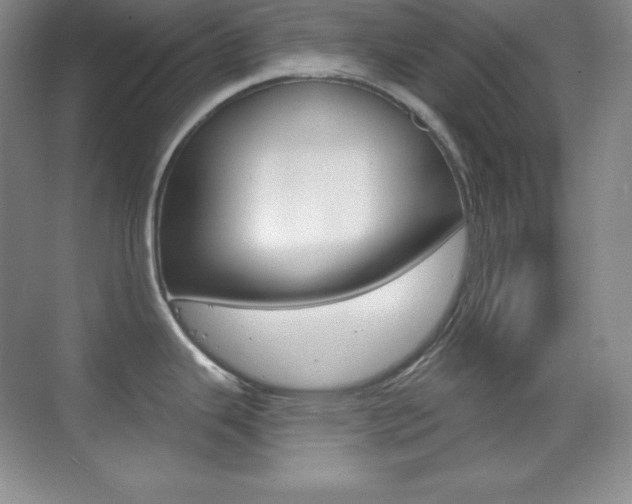 X0000070241343200606020923