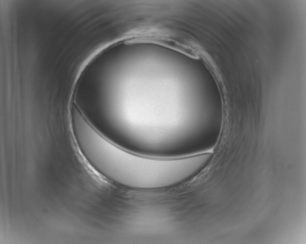 X0000070241344200606020923