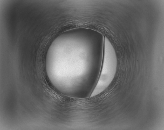 X0000070241345200606020922