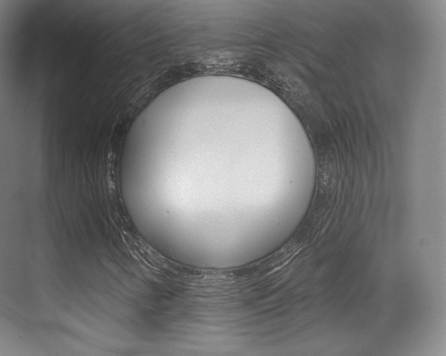 X0000070241346200606020922