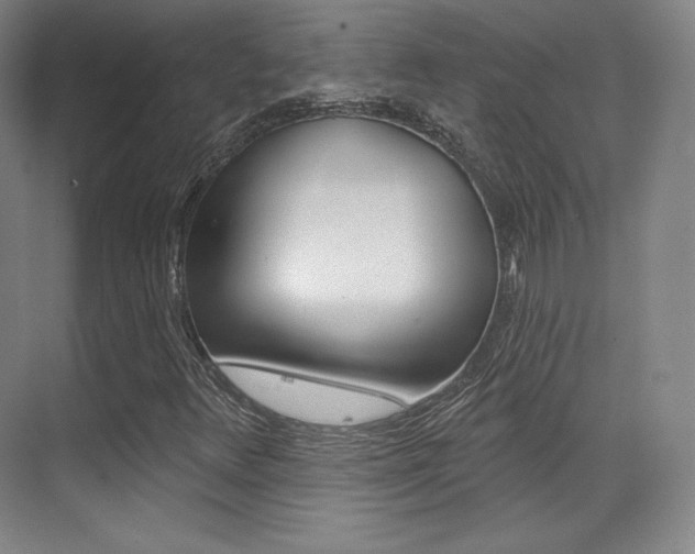 X0000070241348200606020922
