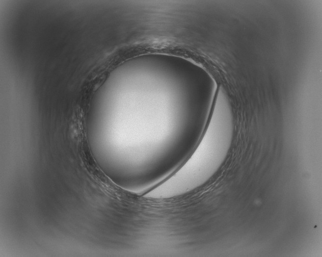 X0000070241349200606020922