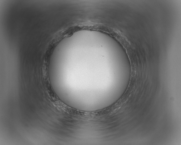 X0000070241350200606020922
