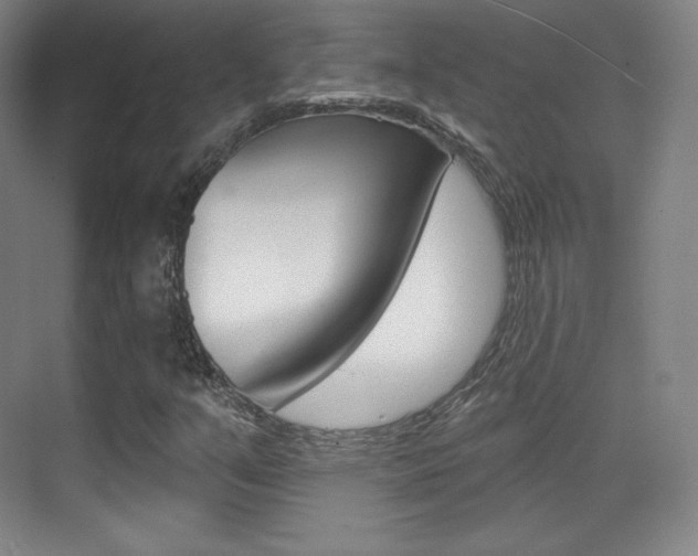 X0000070241351200606020922