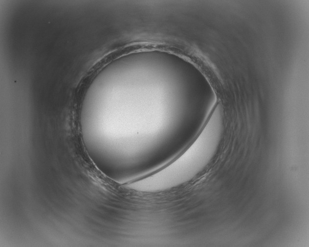 X0000070241352200606020922