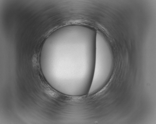 X0000070241353200606020922