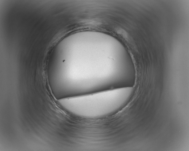 X0000070241354200606020922