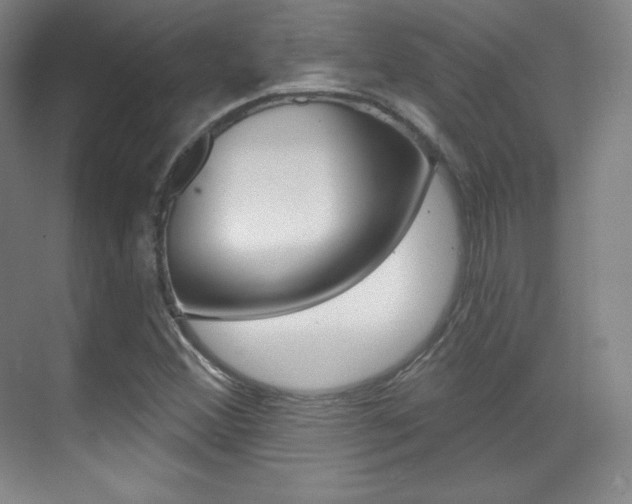 X0000070241356200606020922