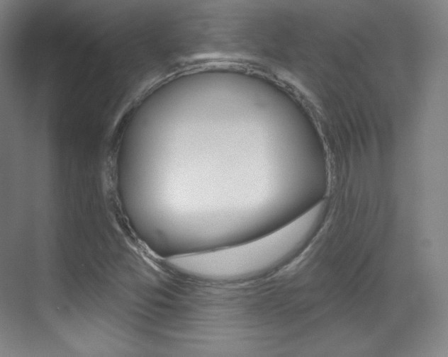 X0000070241357200606020922