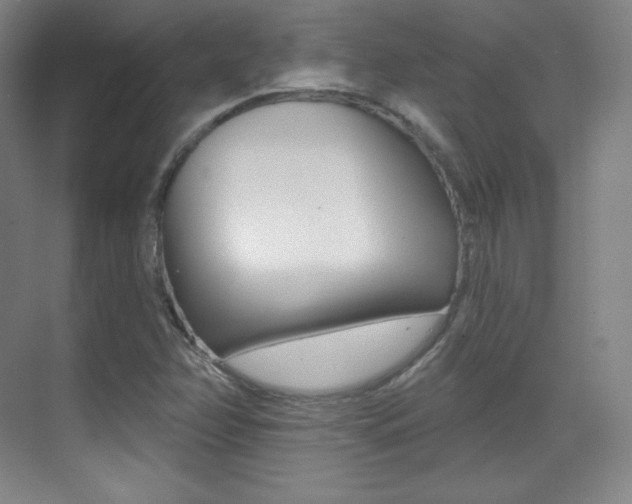 X0000070241358200606020922