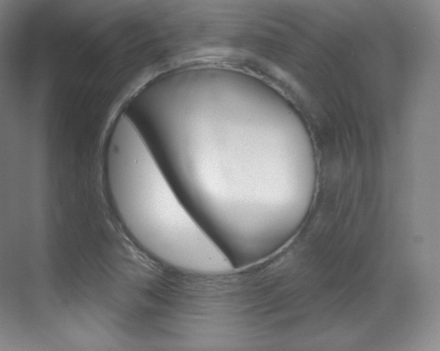 X0000070241362200606020922