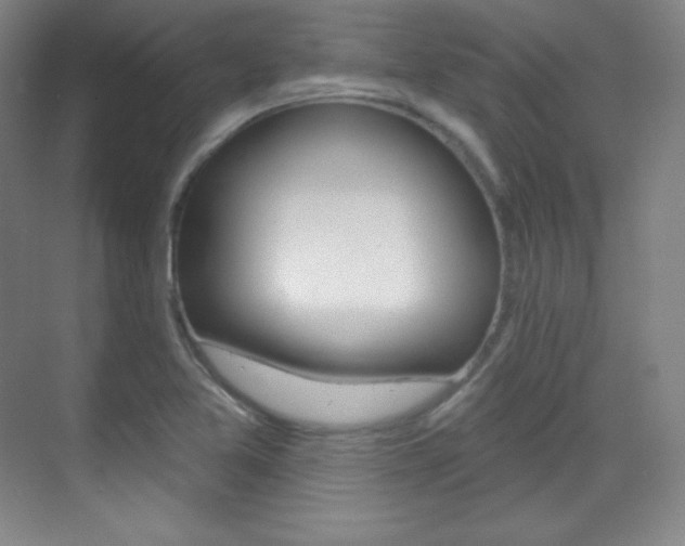 X0000070241365200606020922