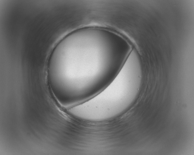 X0000070241367200606020922