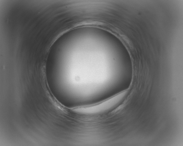 X0000070241369200606020922