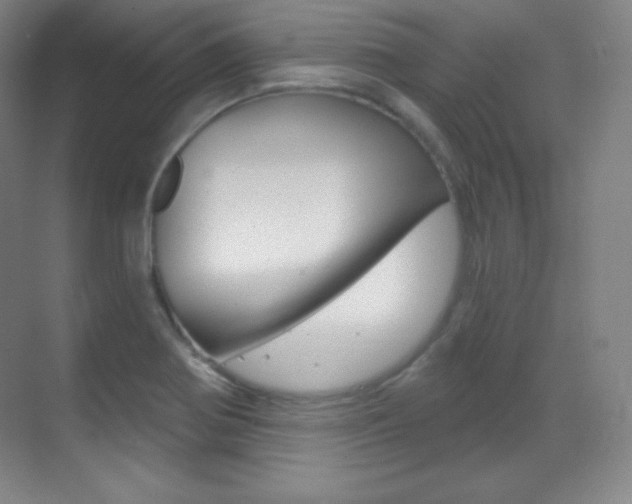 X0000070241370200606020922