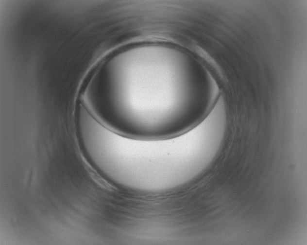 X0000070241372200606020921
