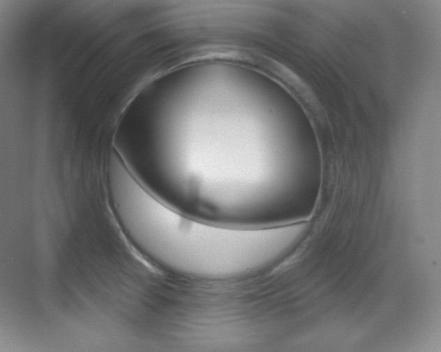 X0000070241377200606020921