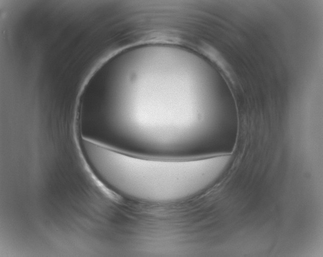 X0000070241379200606020921