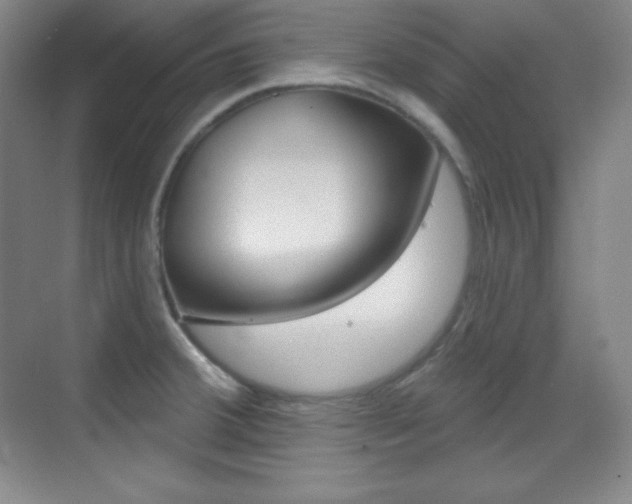 X0000070241380200606020921
