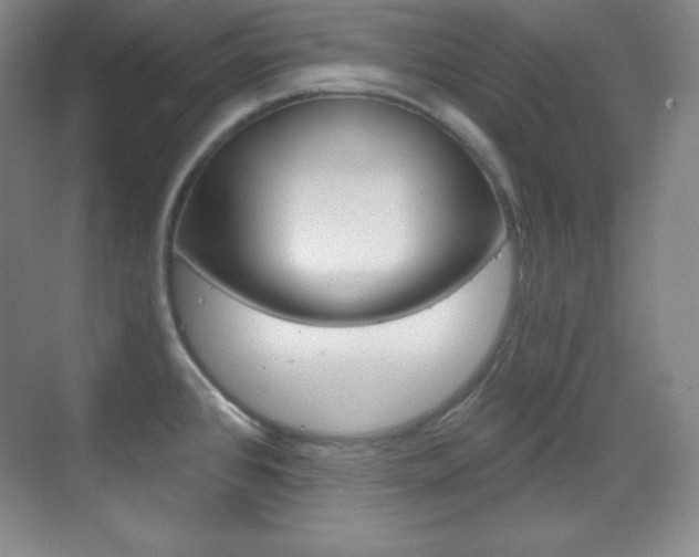 X0000070241384200606020921