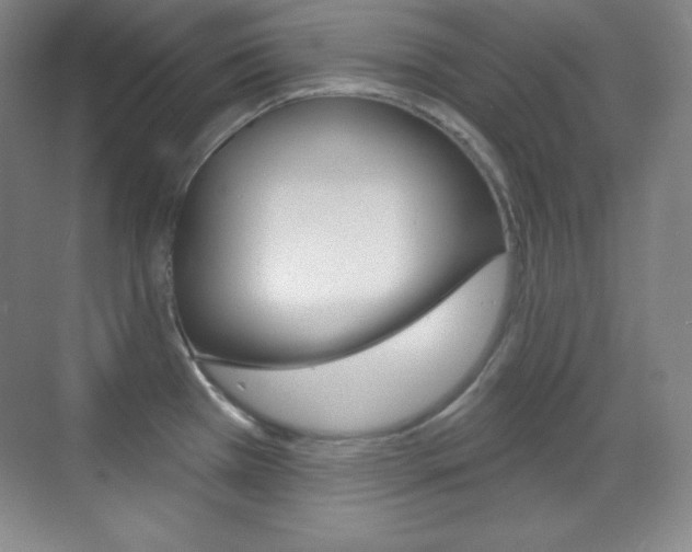 X0000070241385200606020921