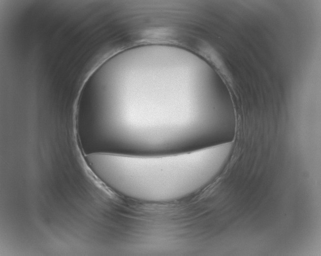X0000070241386200606020921