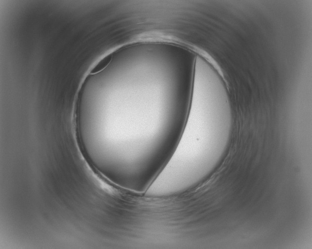 X0000070241387200606020921