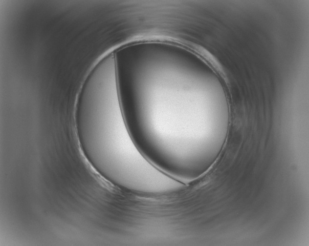 X0000070241388200606020921
