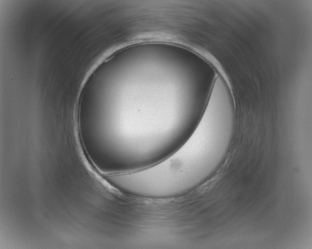 X0000070241389200606020921