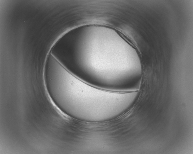X0000070241391200606020921